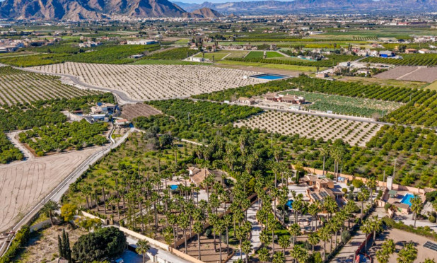 Revente - Finca / Propriété rurale - Rafal