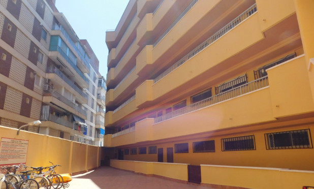 Revente - Appartement - Torrevieja - torrevieja