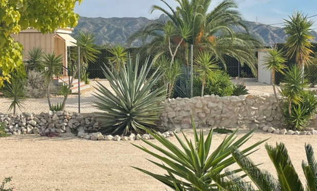 Resale - Finca / Country Property - Abanilla