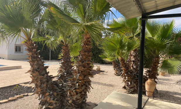 Resale - Finca / Country Property - Abanilla