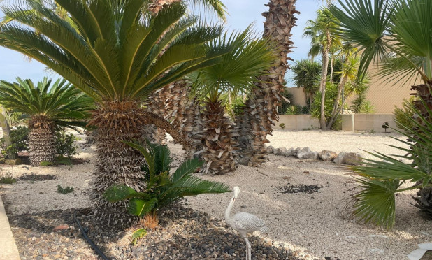 Resale - Finca / Country Property - Abanilla