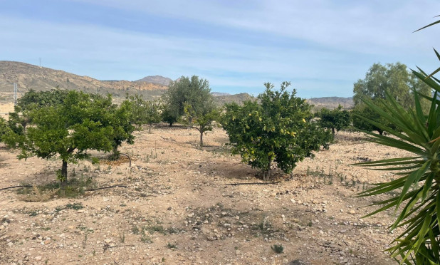 Resale - Finca / Country Property - Abanilla