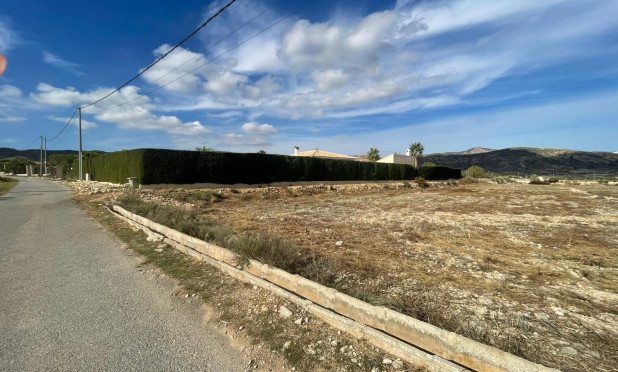 Resale - Finca / Country Property - Abanilla