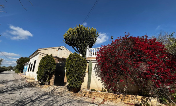 Wiederverkauf - Finca / Landgut - Benejúzar