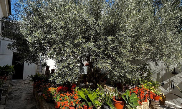 Wiederverkauf - Finca / Landgut - Benejúzar