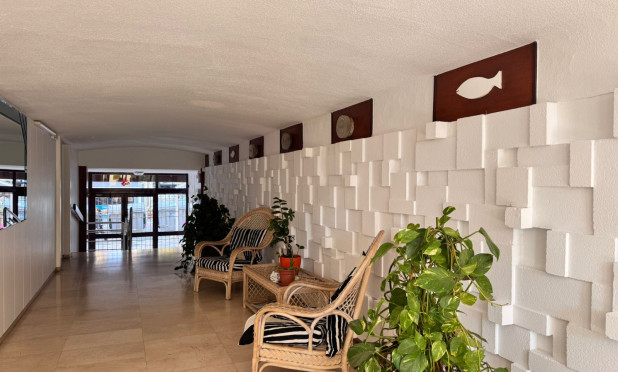 Revente - Appartement - Benidorm - Rincón de Loix