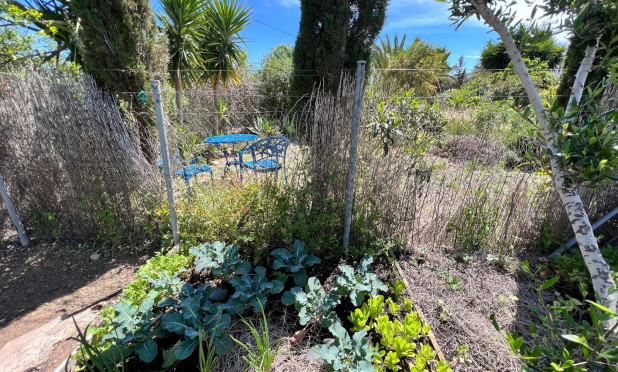 Resale - Finca / Country Property - Cartagena