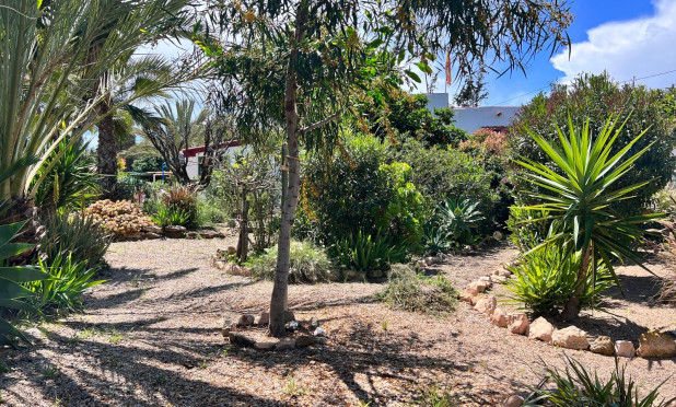 Resale - Finca / Country Property - Cartagena