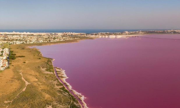 Revente - Villa - Torrevieja - torrevieja