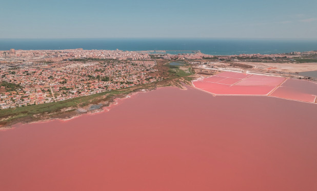 Neue Gebäude - Stadthaus - Torrevieja - torrevieja