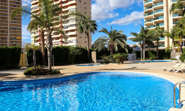 Obra nueva - Apartamento / piso - Calpe