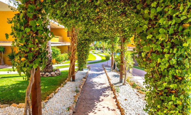 Herverkoop - Appartement / flat - Torrevieja - Punta Prima