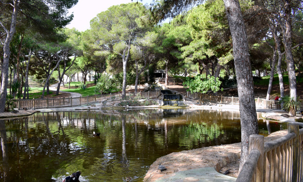 Resale - Plot / Land - Guardamar del Segura - Guardamar pueblo