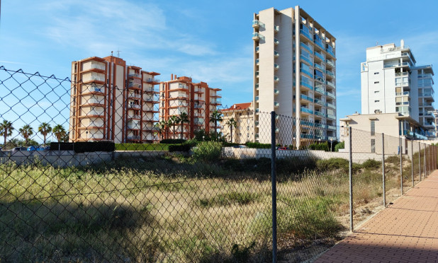 Revente - Parcelle / Terrain - Guardamar del Segura - Guardamar pueblo