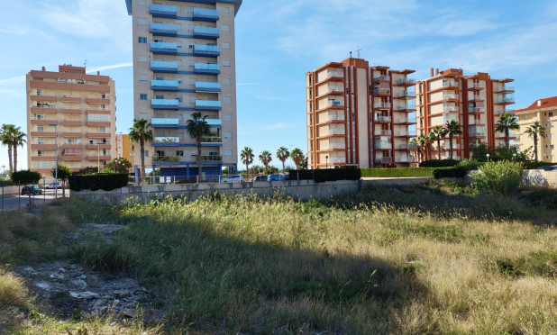 Revente - Parcelle / Terrain - Guardamar del Segura - Guardamar pueblo