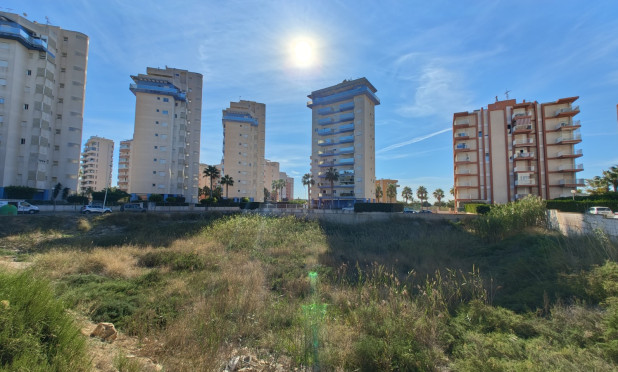 Revente - Parcelle / Terrain - Guardamar del Segura - Guardamar pueblo