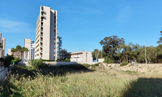 Revente - Parcelle / Terrain - Guardamar del Segura - Guardamar pueblo