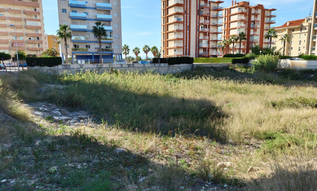Revente - Parcelle / Terrain - Guardamar del Segura - Guardamar pueblo