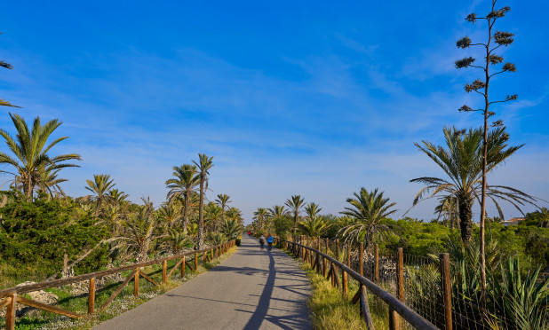 Revente - Parcelle / Terrain - Guardamar del Segura - Guardamar pueblo
