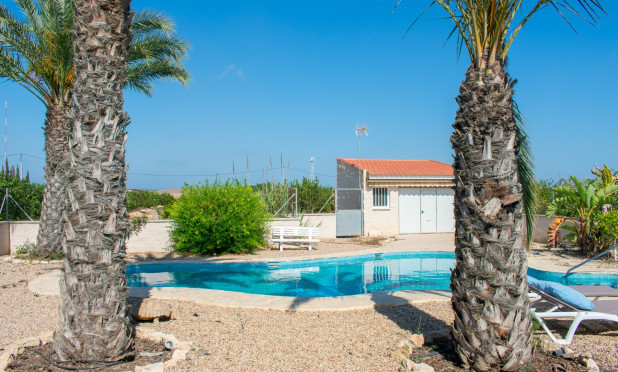 Resale - Villa - Guardamar del Segura - El Raso