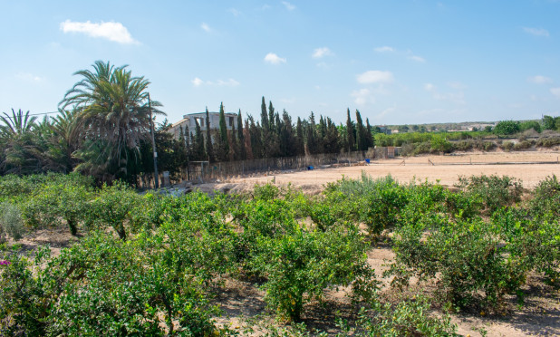 Resale - Villa - Guardamar del Segura - El Raso