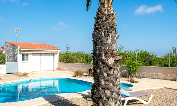 Resale - Villa - Guardamar del Segura - El Raso