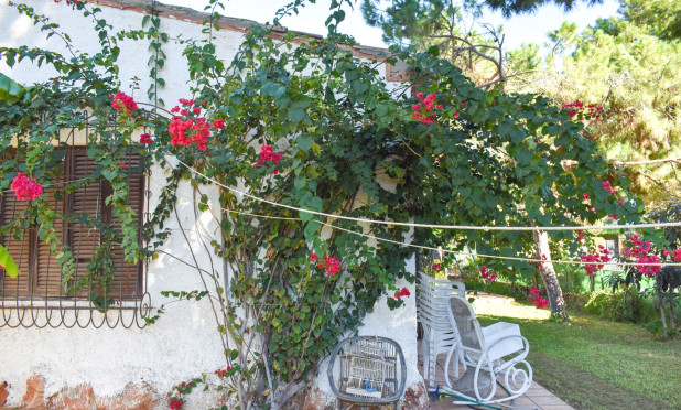 Resale - Villa - Orihuela Costa - Punta Prima