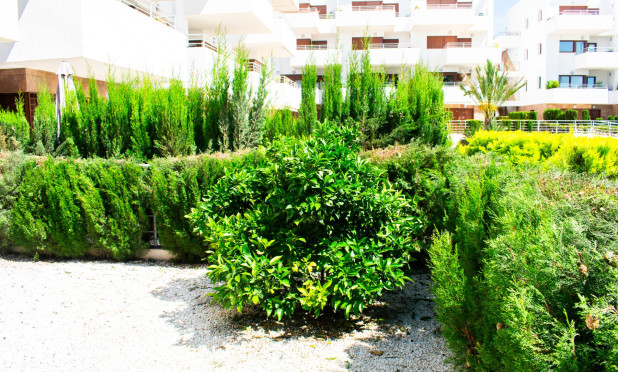 Resale - Apartment / flat - Orihuela Costa - Cabo Roig