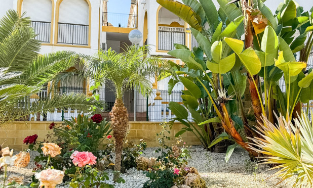Resale - Penthouse - Torrevieja - Torrelamata - La Mata