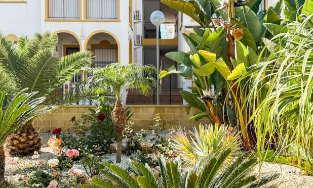 Resale - Penthouse - Torrevieja - Torrelamata - La Mata