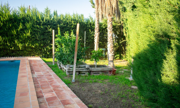 Resale - Villa - Molina De Segura - Torre de Cotillas