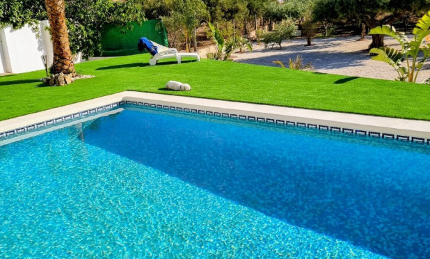 Resale - Finca / Country Property - Alicante - Moralet - Cañada del Fenollar