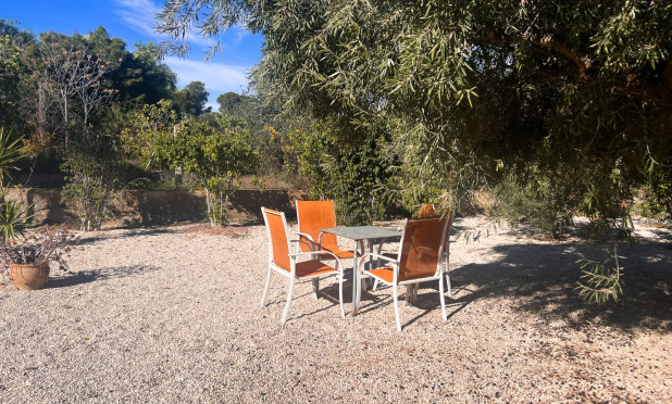 Resale - Finca / Country Property - Alicante - Moralet - Cañada del Fenollar
