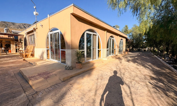 Wiederverkauf - Finca / Landgut - Crevillente
