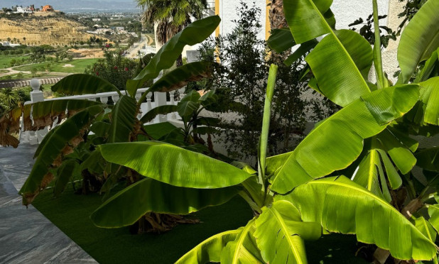 Resale - Villa - Ciudad Quesada - Rojales - Ciudad Quesada
