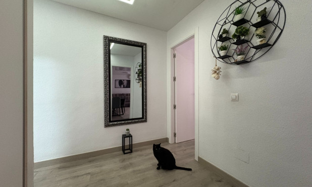 Resale - Apartment / flat - Torrevieja - Centro