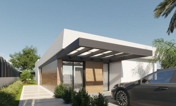 Obra nueva - Villa - Molina De Segura - Molina de Segura
