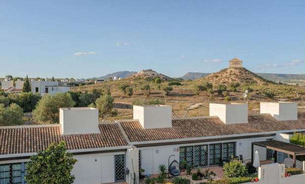Nouvelle construction - Maison de ville - Peraleja Golf