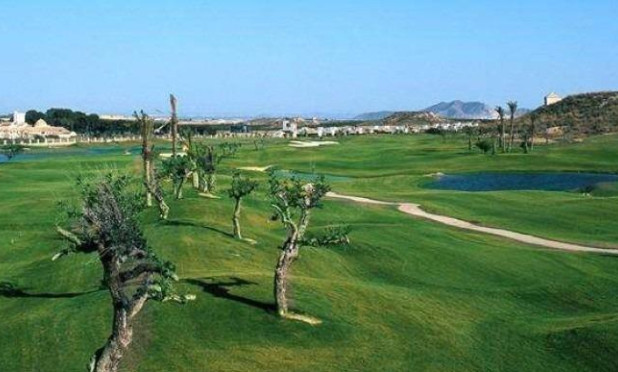 Nouvelle construction - Maison de ville - Peraleja Golf