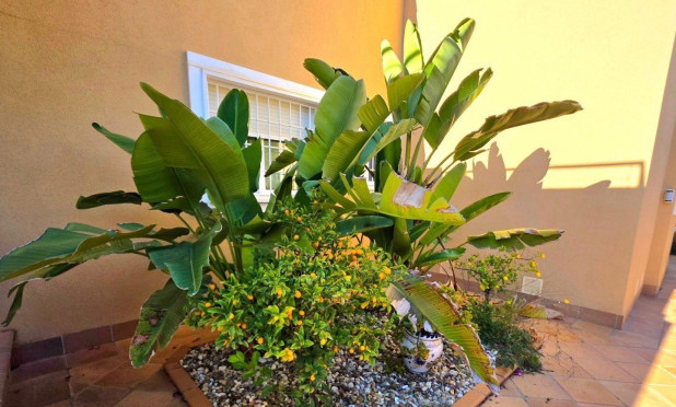 Wiederverkauf - Villa - Dehesa de Campoamor - Campoamor
