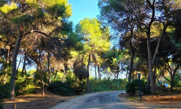 Wiederverkauf - Villa - Dehesa de Campoamor - Campoamor