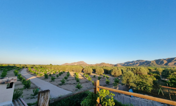Reventa - Finca / Casa de Campo - Orihuela - Benferri