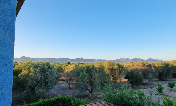 Reventa - Finca / Casa de Campo - Orihuela - Benferri