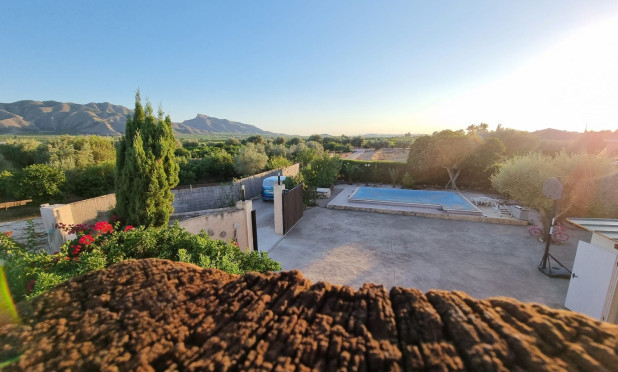 Reventa - Finca / Casa de Campo - Orihuela - Benferri