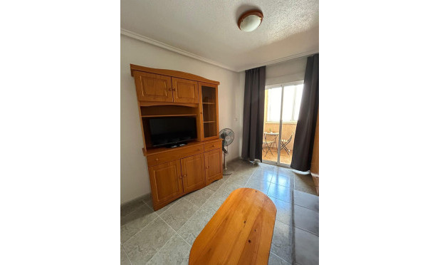 Long Term Rental - studio - Torrevieja - Playa Los Locos