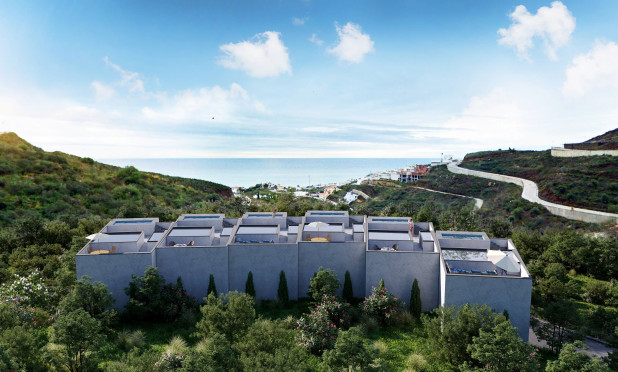 New Build - Townhouse - El Peñoncillo