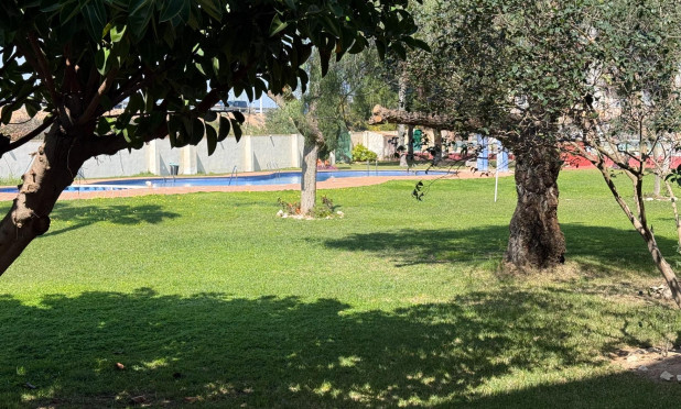 Revente - Appartement - Torrevieja - Parque de las Naciones