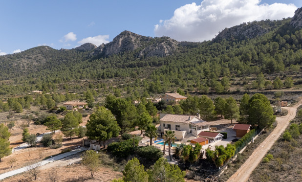 Resale - Villa - La Zarza