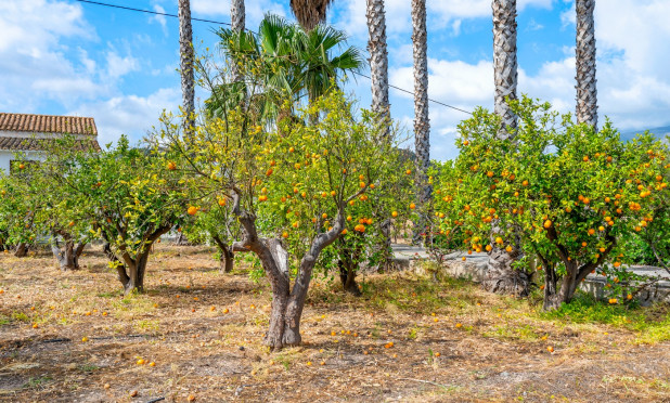 Reventa - Finca / Casa de Campo - La Nucía