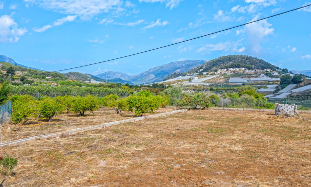 Reventa - Finca / Casa de Campo - La Nucía